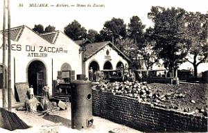 1164- Miliana - Mines du Zaccar - Ateliers